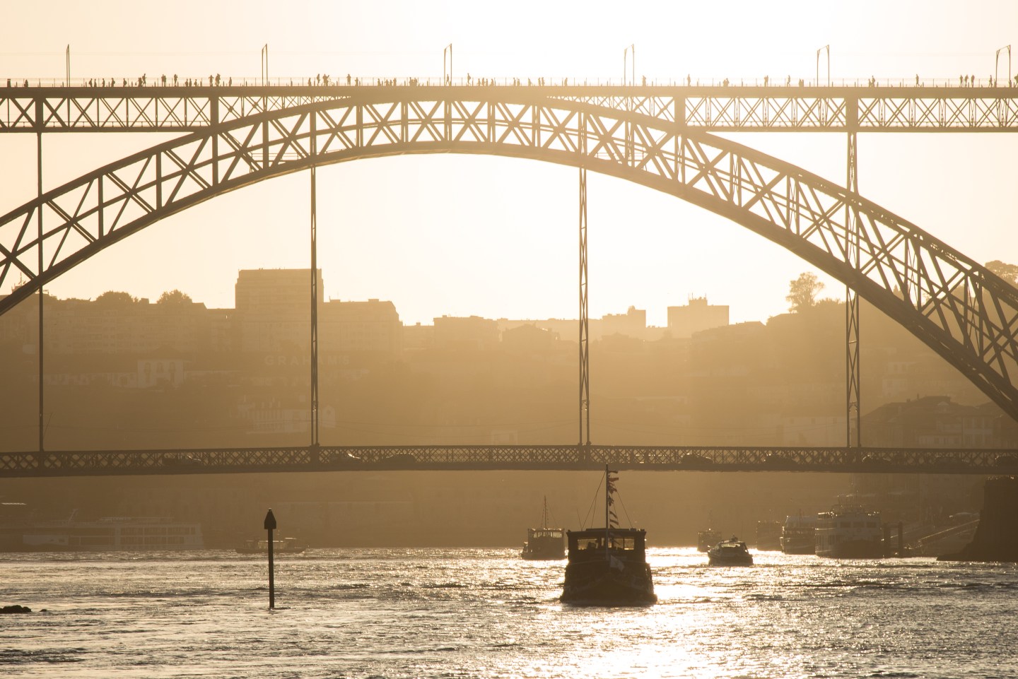A chasm and a bridge – The Introverted Tree