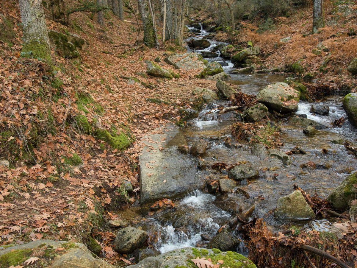 The lightness of&nbsp;music