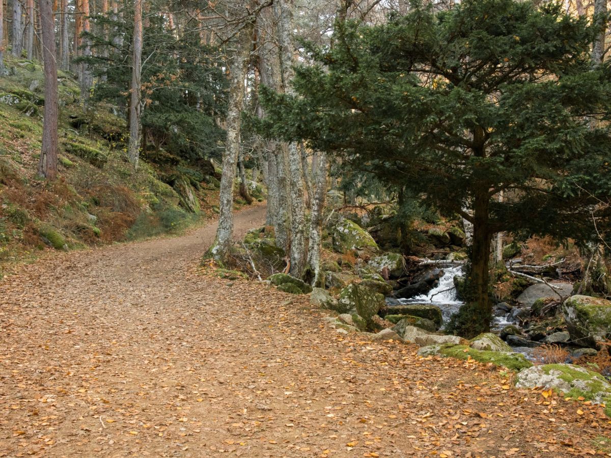 Our voice in what we listen&nbsp;to