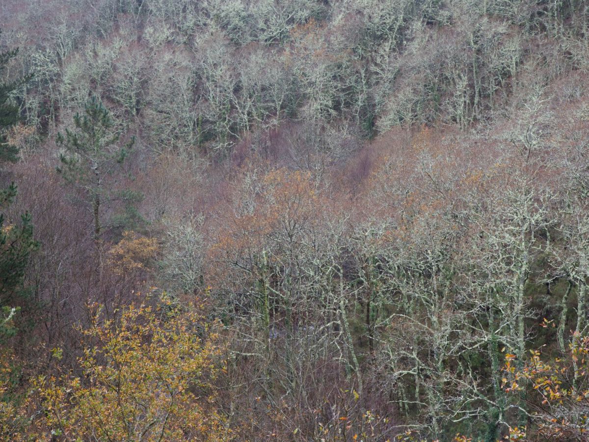 A bag of&nbsp;leftovers