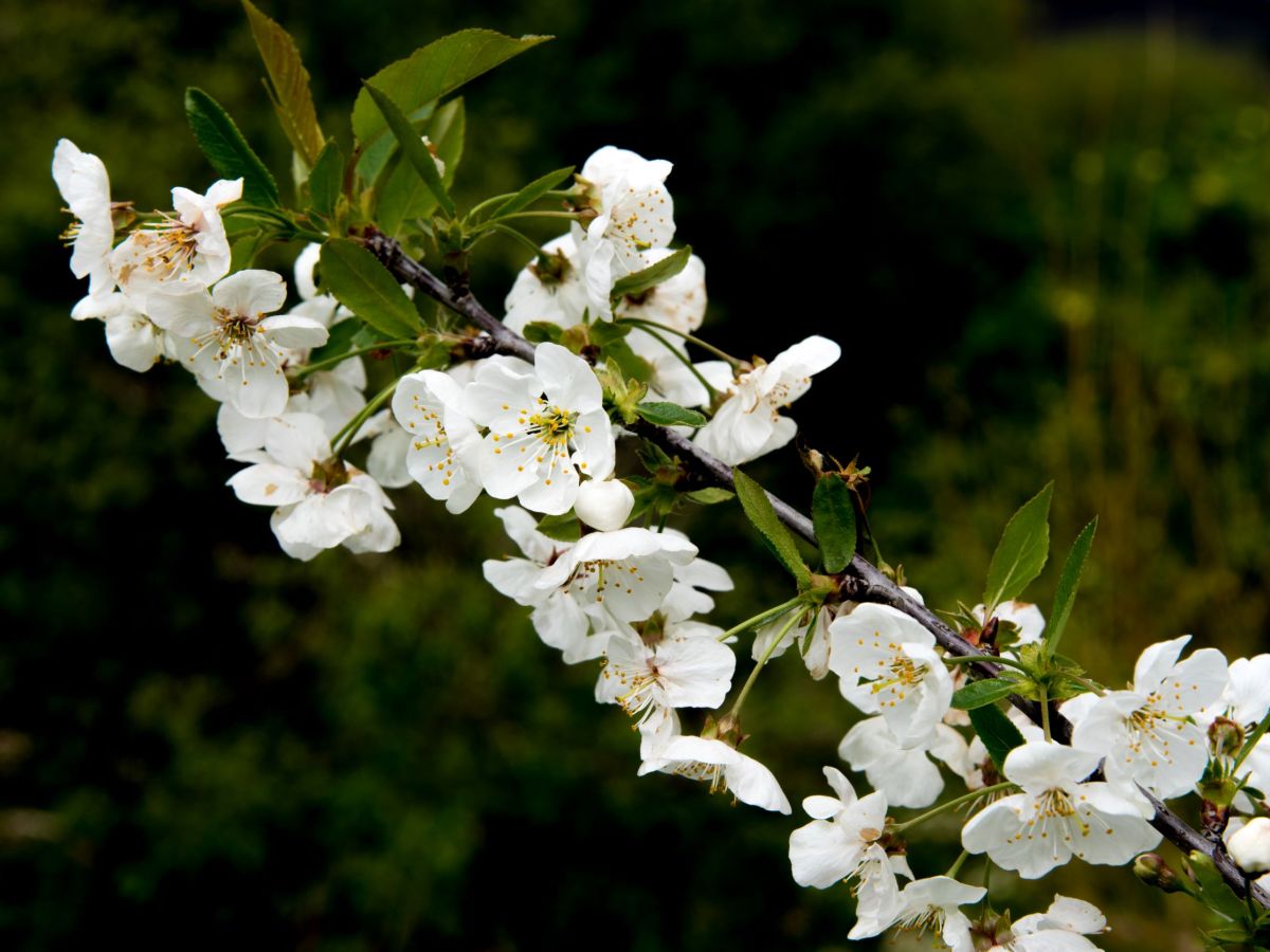 The soil, the seed, the&nbsp;gardener