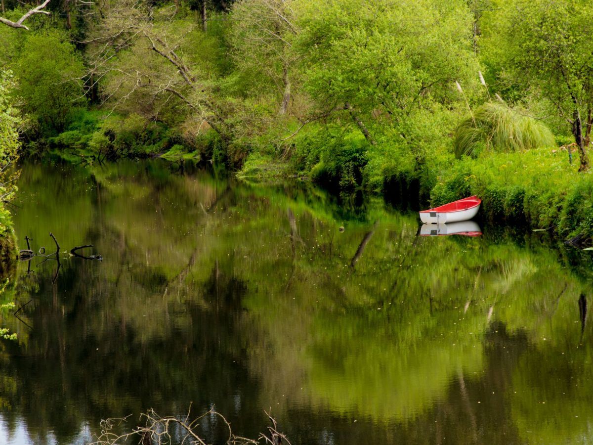 The watching neighbour
