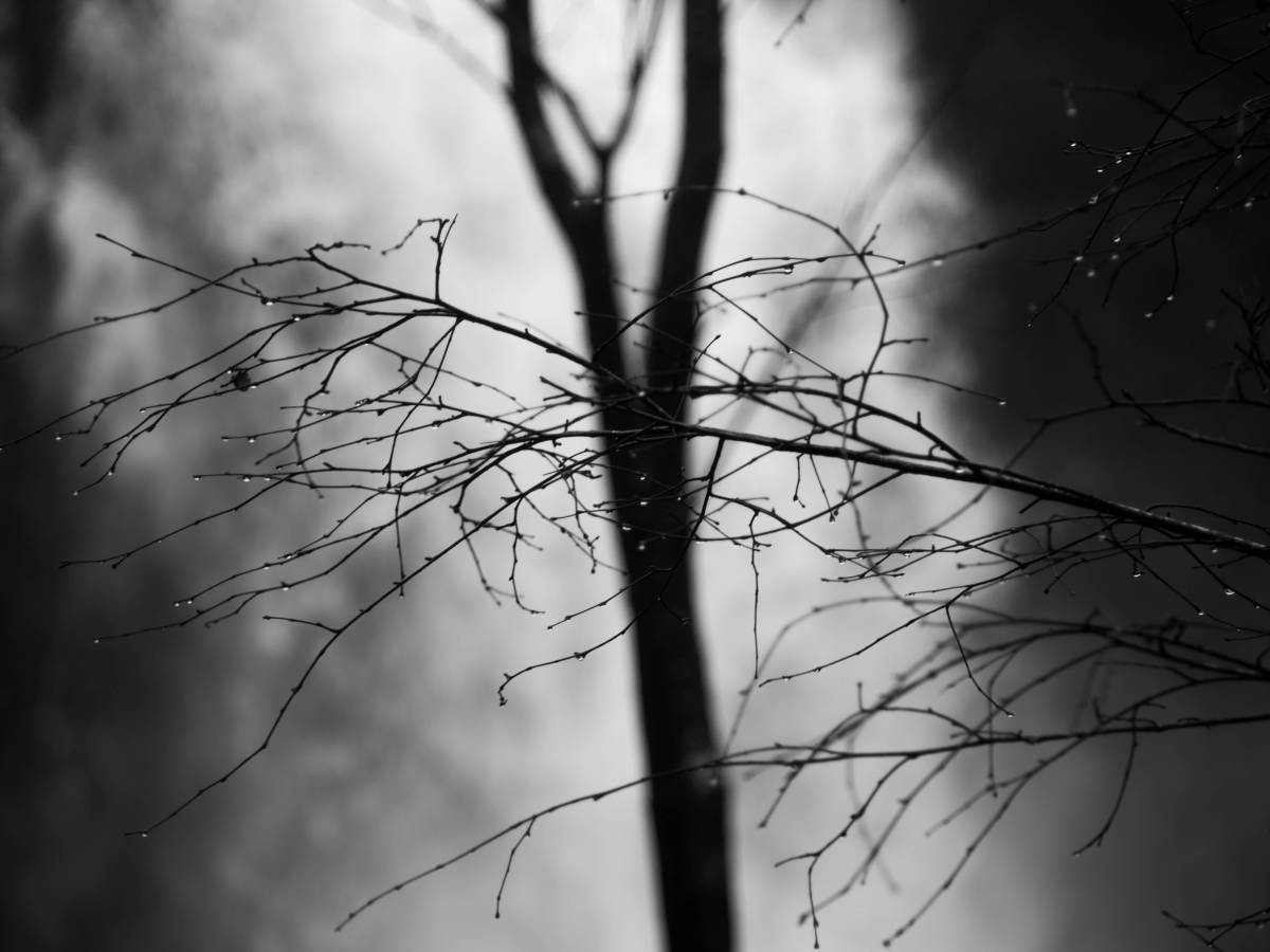 The Narrator (III/III)